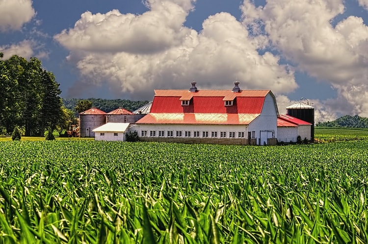 Gvo Frei Findet Man Kaum Noch In Den Usa Us Landwirte Setzen Auf Genpflanzen