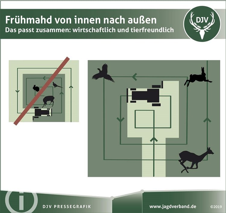 Mahd, Grünland, Frühmahd, Kitze